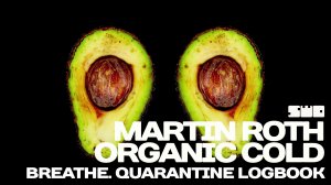Martin Roth - Organic Cold Brewed Hipster Funk (Extended Mix) rework PROfan?