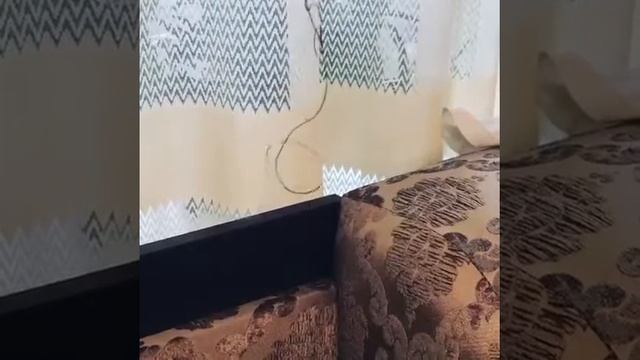 ЖИВОЙ ВОЛОС смотреть онлайн