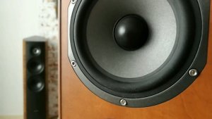 Focal Chorus 714 s выбор прослушивание