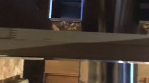 ПОТОЛОК В ДЕРЕВЯННОМ ДОМЕ  ПО БЫСТРОМУ // ДОМ В ДЕРЕВНЕ