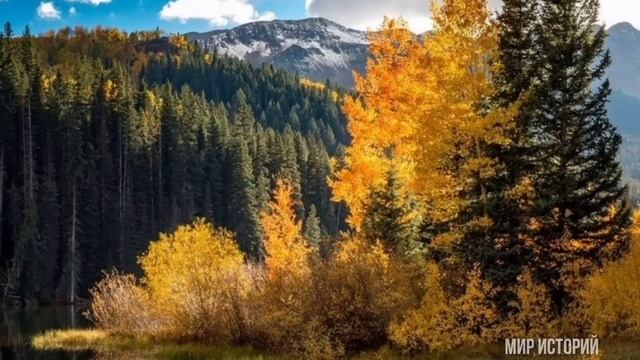 -фу я ещё суп не варила.- сморщилась брезгливо любимая...