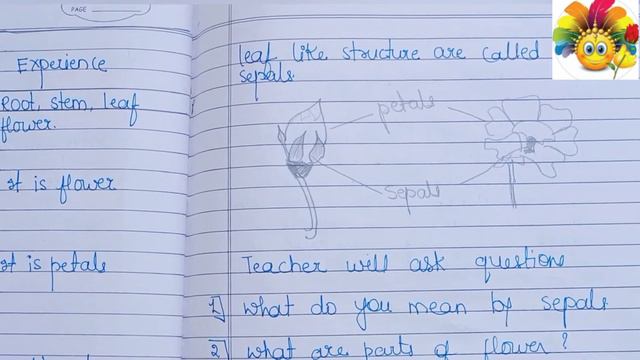 lesson plan / science lesson plan / flower / getting to know plants смотреть онлайн