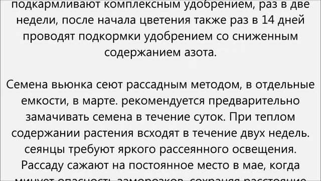Вьюнок уход смотреть онлайн