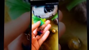 БАСИКИ ИЗ ТТ💜 часть 1