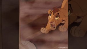 История Копы