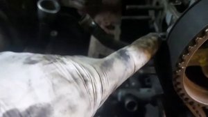 Мітки ГРМ Hundai Terracan 2.9 crdi