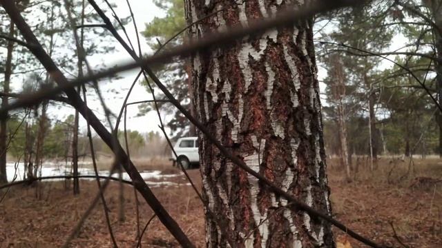 Березовый сок 2022! смотреть онлайн