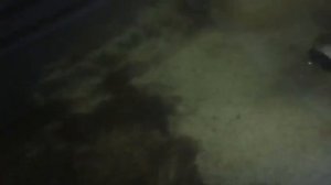 Узв. Раки. АККР. Подскажите в чем причина гибели малька.