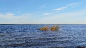 Волны бьются об берег.mp4