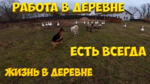 В деревне работа есть всегда. [Жизнь в деревне]