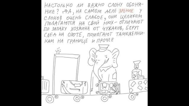 Почему колбасу режут под углом?