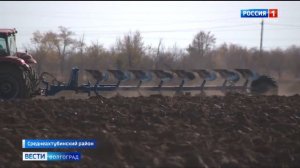 На полях Волгоградской области завершается уборка моркови
