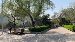 24 х часовой транзит в Пекине.