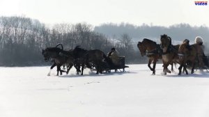 Светлана Синченко   "Станет нашей Марьюшка"