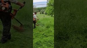 ??????Husqvarna 555 rxt??????