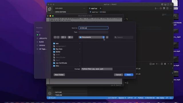 Input Function In Python Using VS Code & Python IDLE