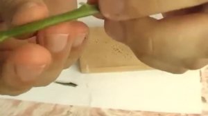 Прививка цитрусовых