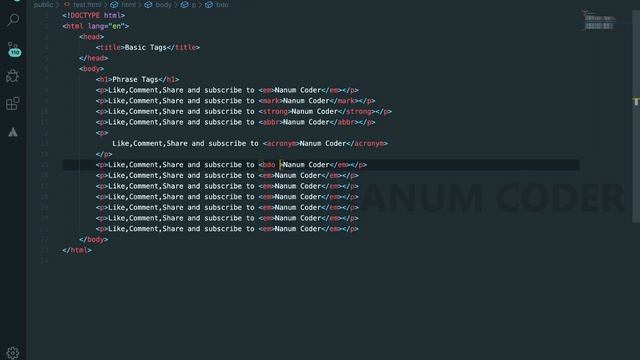 Learn HTML Basics In Tamil Complete Guide For Beginners | nanumcoder | Part 11 Phrase Tags In HTML