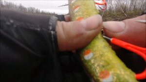 Большая резина....  не надо бояться!