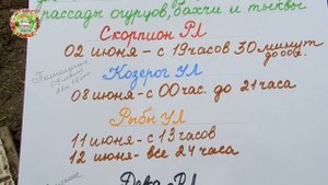 Когда в июне 2020 года посадить огурцы, бахчевые культуры и тыквы? Благоприятные дни для посадки
