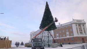 Сборка ствольной уличной елки