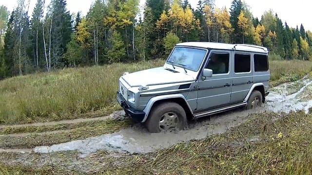 сосисочное рубилово