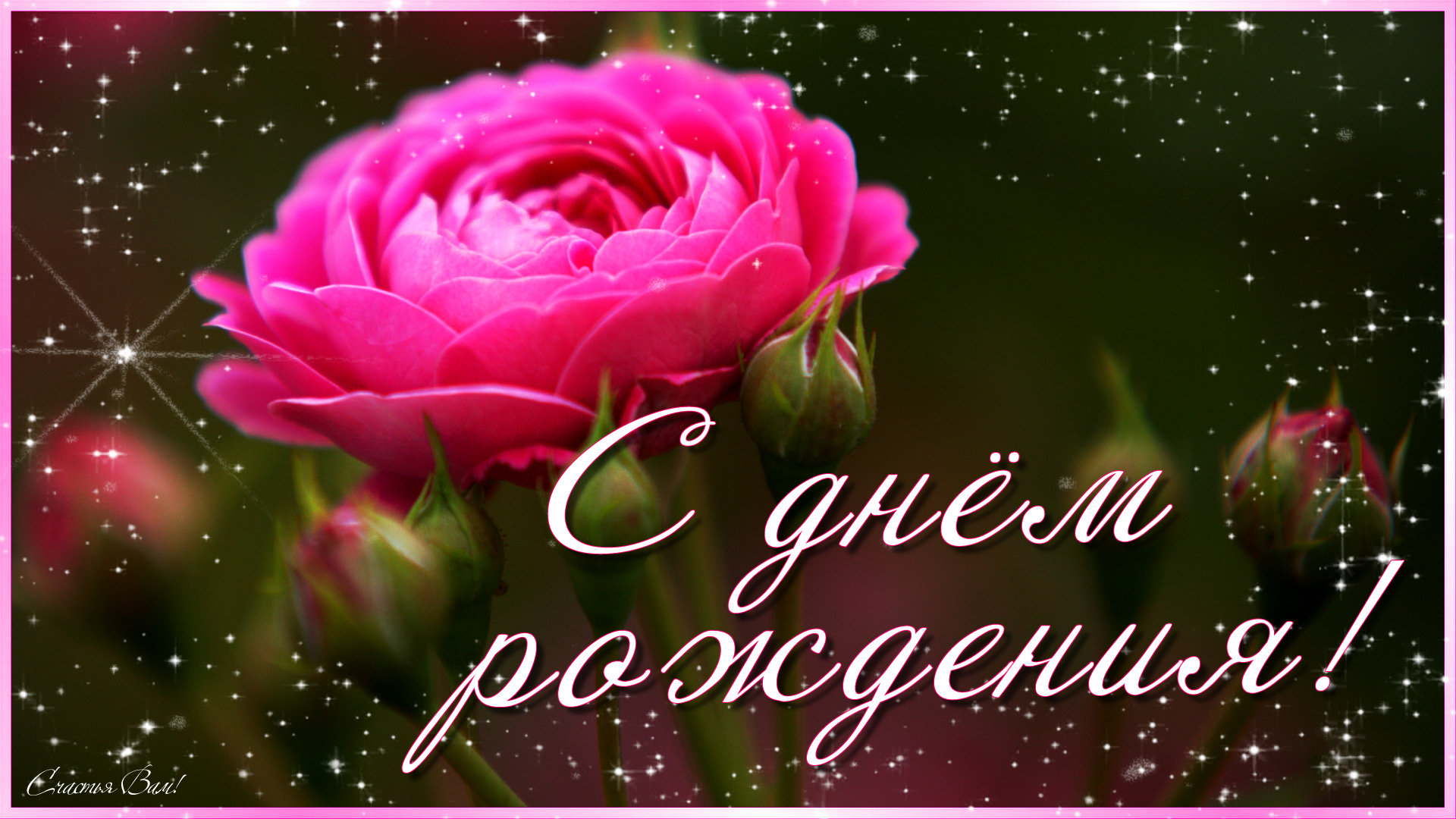 Красивое видео поздравляю женщине. С днём рождения женщине. Открытки с днём рождения женщине красивые. С юбилеем женщине. С днём рождения женщине красивые поздравления.