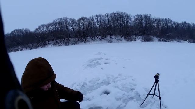 Царская рыба бирюк!
