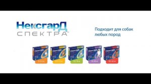 НексгарД Спектра – новая таблетка для собак от клещей, блох и глистов