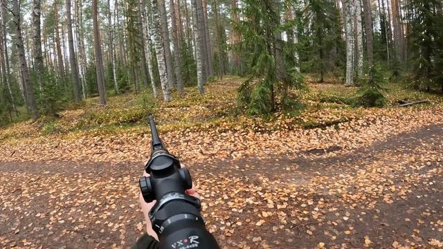 Загонная охота на лося 2022. Двумя коллективами закрыли четыре лицензии. смотреть онлайн