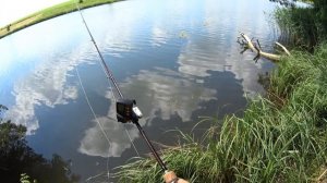 Обзор новой Daiwa Tatula CT 100HSL + Corzza CZC-652ML
