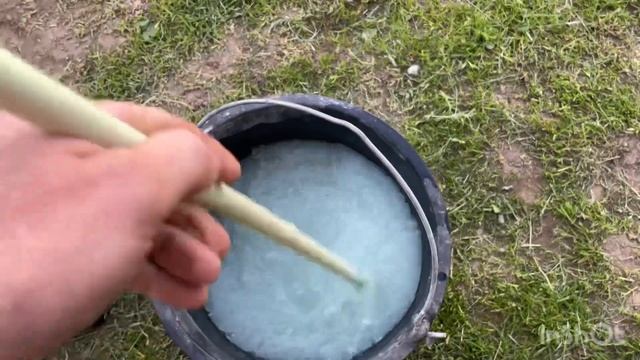 Меры борьбы с Антракнозом!