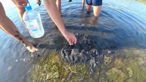 Как копать морского червя? Ловим краба и рапана / Лазурное  Черное море