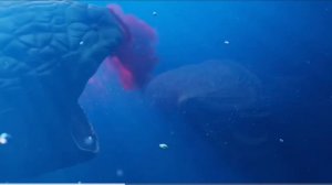 React: Big Match of The Bloop VS El Gran Maja By Borisao Blois