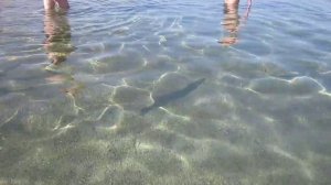 Отель Sharm Grand Plaza Resort 5 - море, пляж