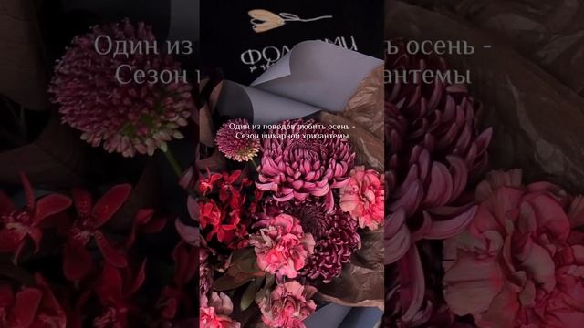 ФОЛОВМИ смотреть онлайн