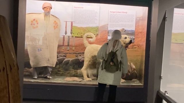 Sivas Vlog Sivasta gezilecek yerler Sivasta neler yaptım??