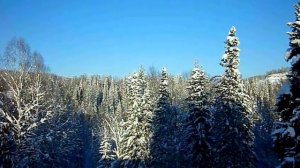 Просторы Сибири.