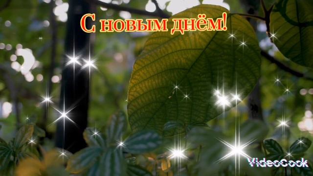 С наилучшими пожеланиями приятного дня! смотреть онлайн