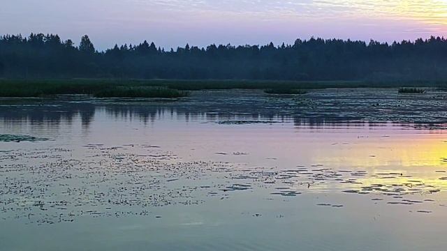 Романс "Колечко" 
Слова И. Бродского.
Муз. В. Берковского.
Исполнение и аккомпанемент мои.