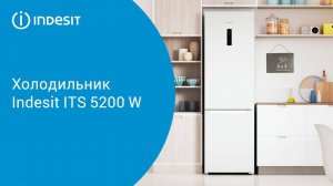 Холодильник Indesit ITS 5200 W - обзор модели