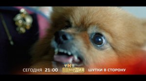 Шутки в сторону