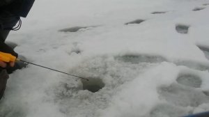 Блесна КТ 36 (КУРСКАЯ ТОРПЕДКА) КТ-36 часть 2