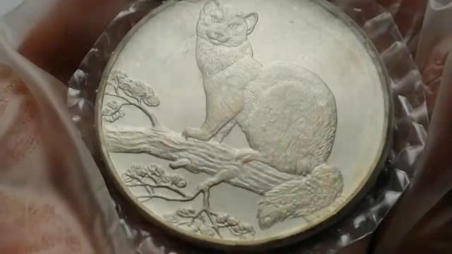 3 РУБЛЯ 1995 СОБОЛЬ. 31,1 ГР. ЧИСТОГО СЕРЕБРА. (ВИДЕО СНЯТО ДЛЯ ПРОДАЖИ НА АВИТО)