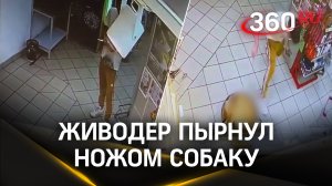 Видео: живодер режет собаку в Химках и кошмарит жителей