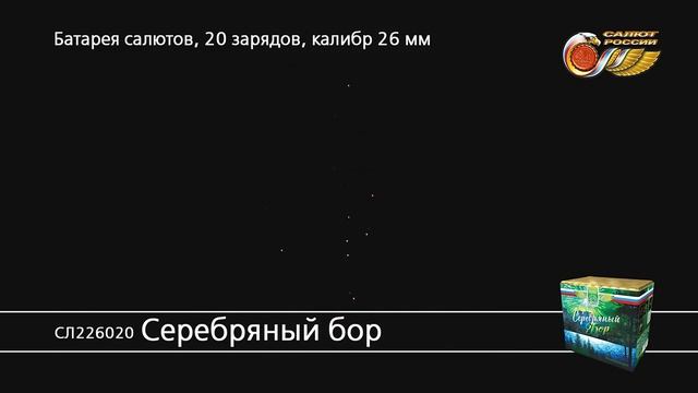 СЛ226020 Серебряный бор