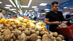 Выращивание картофеля как бизнес идея