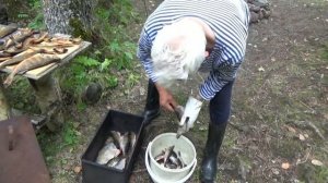 рыбалка Карелия Водлозеро  01 03 08 2022г