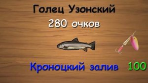 Русская Рыбалка 3.99 (Russian Fishing) Редкие рыбы Октябрь 2018