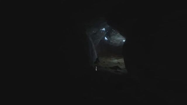 Project Wight ► Sneak Peek смотреть онлайн